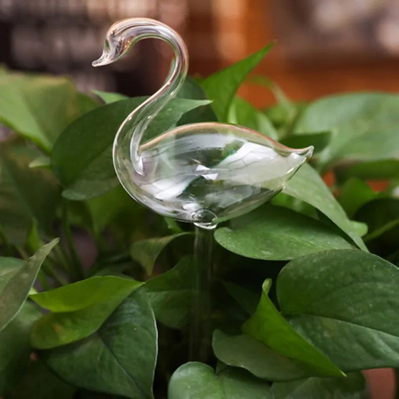 Self-Watering Glass Plant Vessels - Image 5